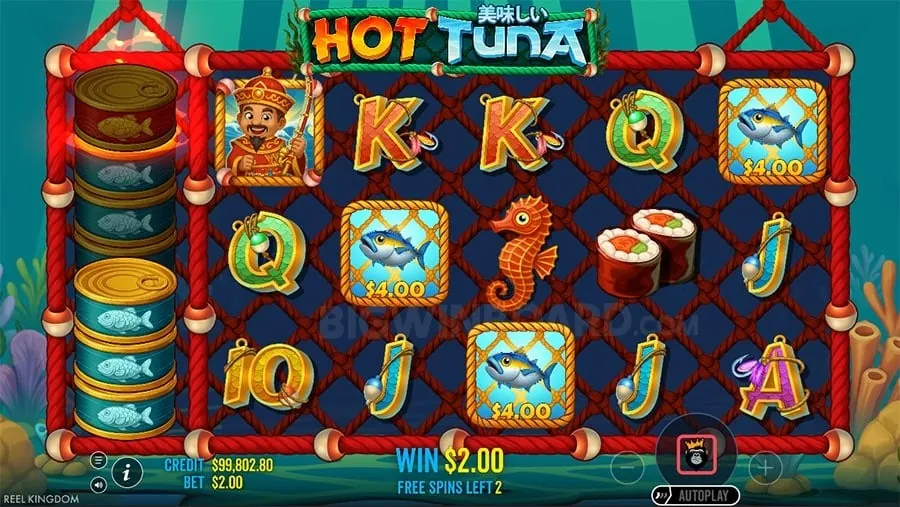 Wide selection of K8K online casino games